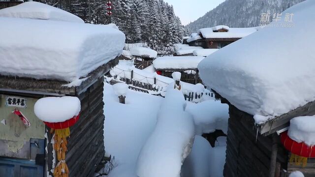 新春走基层|一位民宿老板的生态转型