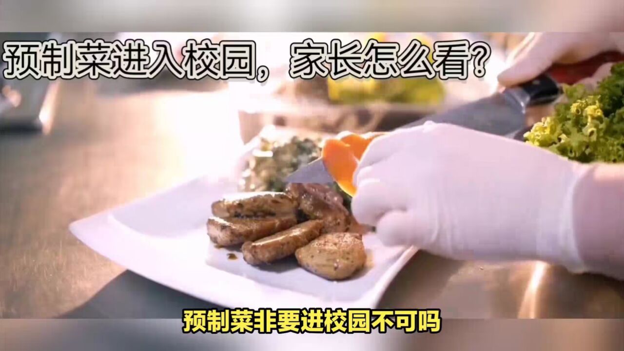 预制菜进校园，家长质疑食品安全。到底是谁在推动？_高清1080P在线观看平台_腾讯视频