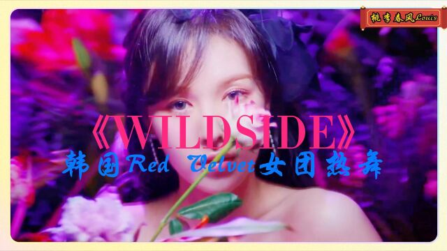 《WILDSIDE》韩国Red Velvet女团热舞