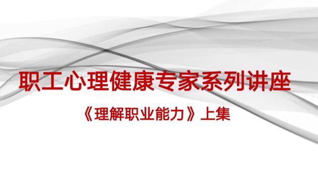 乔志宏《理解职业能力》工会上集