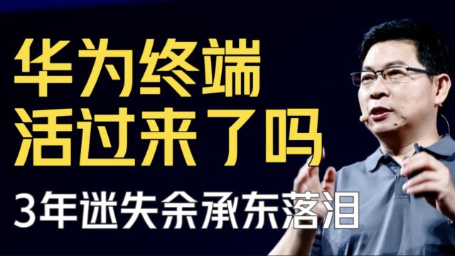 让余承东落泪的华为终端,迷失3年后,替代手机的新主业找到了?