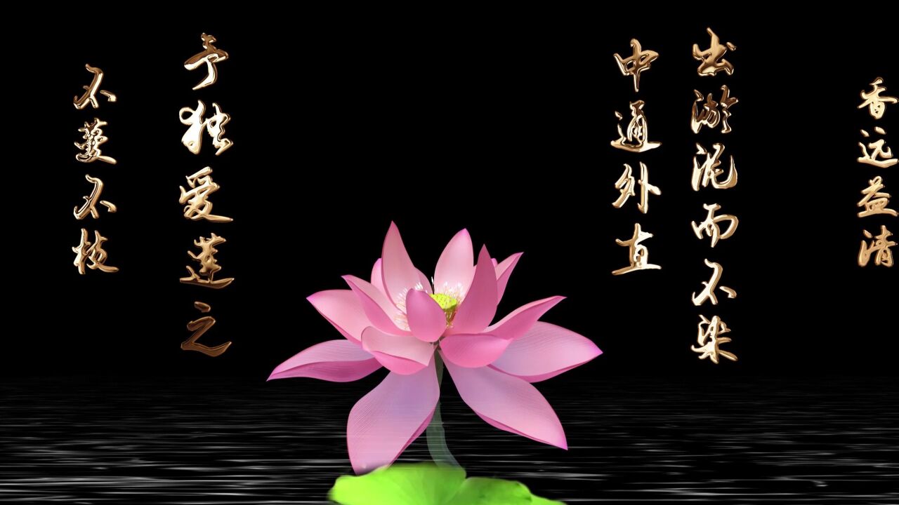 爱莲说 全息纱幕投影情景舞台剧背景视频