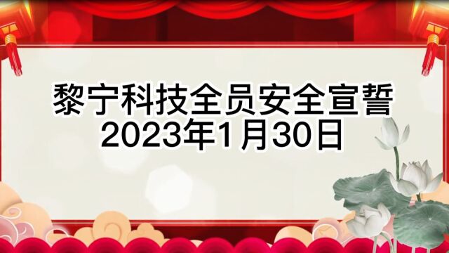 山东黎宁科技新材料有限公司 2023年度开工第一课安全宣誓