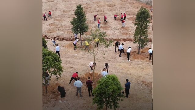 三级林长带头,千企万民齐植树,助力高质量绿美中山生态建设