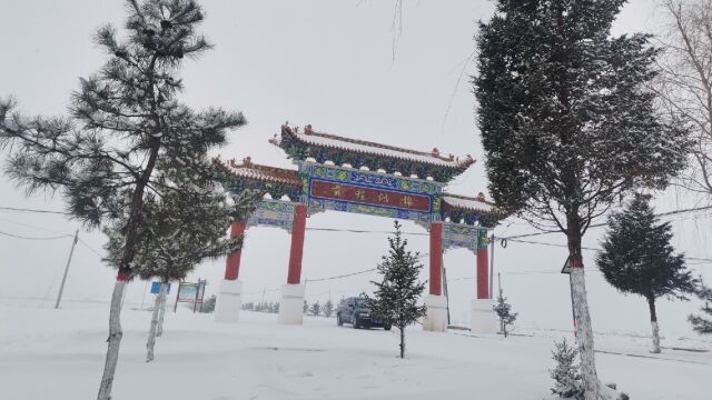 一场春雪至、万树闪银枝