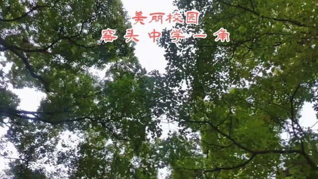 #美丽校园一角 万安县窑头中学,努力打造文明整洁校园,欢迎乡贤人士助一臂之力.