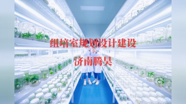 植物组培室仪器设备 组培室规划设计方案 组培室平面图 组培架 培养架 组培灯定做 光照培养箱