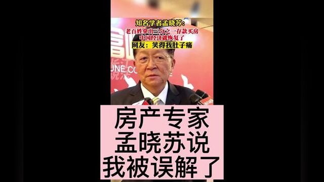 孟晓苏说:假如居民用三分之一存款买房,房地产就有救了 #房地产 #孟晓苏