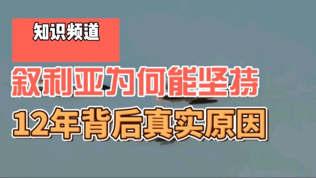 叙军为何能坚持12年,主要原因不是俄军支持,一大亮点超以色列