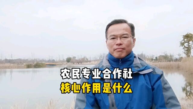 农民专业合作社,核心作用是什么?