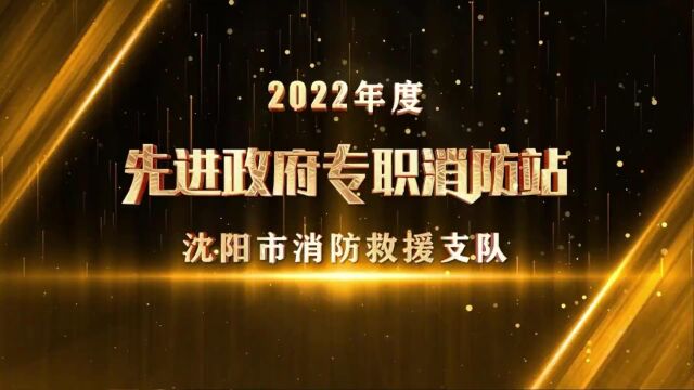 沈阳消防画报(498期)奋楫扬帆 赓续前行丨沈阳市消防救援支队召开2023年党委(扩大)会议