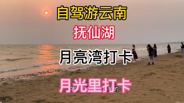 自驾游云南 抚仙湖 月亮湾湿地公园打卡,月光里湖边楼盘吃饺子!