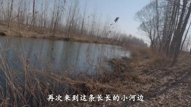 流水小河道,边走边钓,鱼口不断