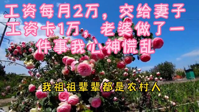 工资每月2万,交给妻子工资卡1万,老婆做了一件事我心神慌乱