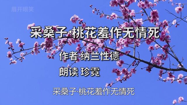 诗词朗读赏析纳兰性德诗词采桑子ⷦშŠ𑧾ž作无情死