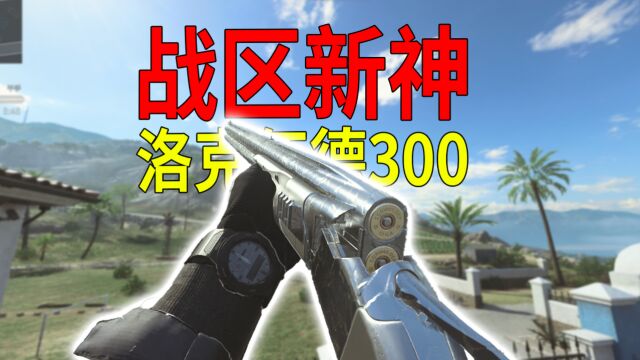 最新最强毒瘤武器,双发扳机洛克伍德300!【战区2】