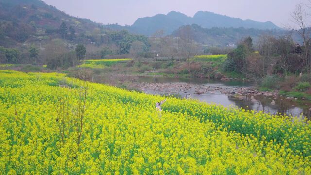 穿着汉服去郊游!在顺河村油菜花海邂逅最美春天