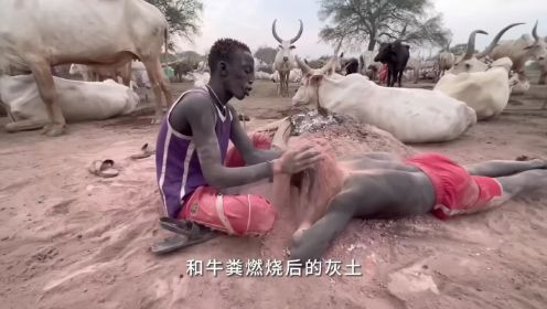 非洲南苏丹原始部落，对牛的热爱程度远超印度