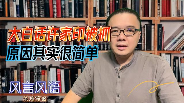 大白话许家印被抓原因其实很简单