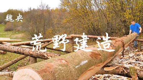 一口气看完：男人砍下500棵云杉，花费3年时间打造豪华木屋！
