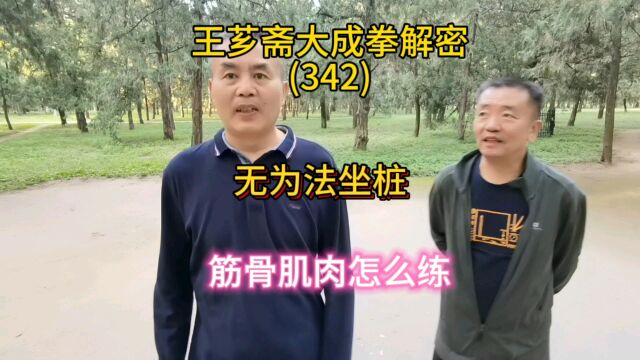 第342集|大成拳无为法坐桩要诀:筋骨肌肉怎么练?