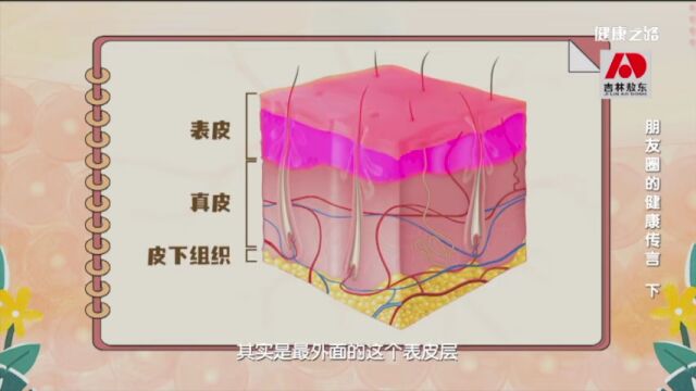 柠檬敷脸能祛斑?防脱洗发水真有效吗?专家为您揭秘网络上的“真假”健康传言!|健康之路