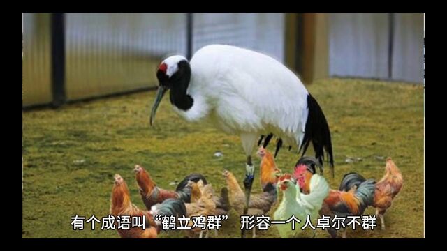 不要错过任何一个学习机会才能开拓自己的思维