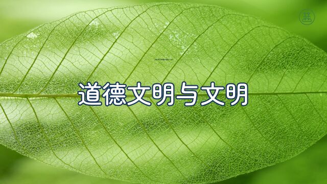 《山林子谈人类道德文明》299【道德文明与文明】鹤清工作室