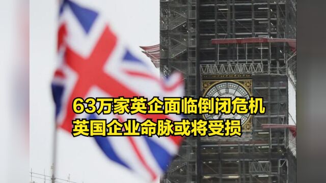 要撑不住了,63万家英企面临倒闭危机,英国企业命脉或将受损