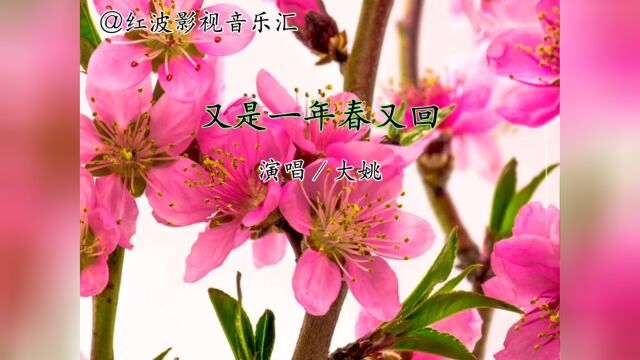 经典音乐《又是一年春又回》演唱:大姚