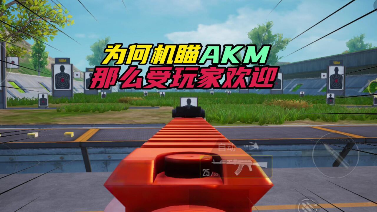 和平精英:为何机瞄akm,那么受玩家欢迎?