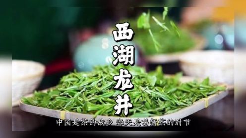 西湖龙井，中国十大名茶之首 #龙井 #茶故事 #茶文化知识 #明前龙井