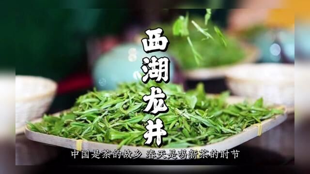 西湖龙井,中国十大名茶之首 #龙井 #茶故事 #茶文化知识 #明前龙井