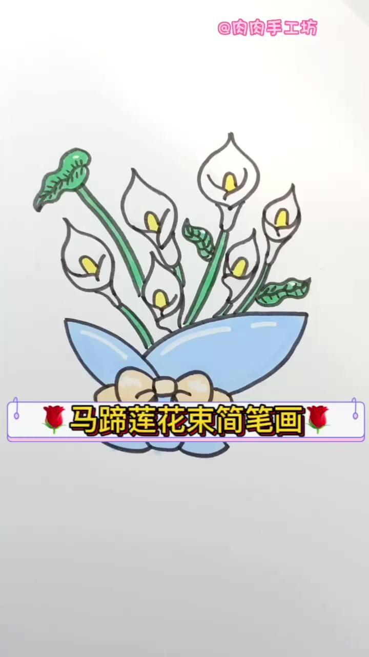 马蹄莲花束简笔画,简单又好看的花束画