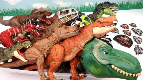 新来的各种新恐龙玩具朋友们