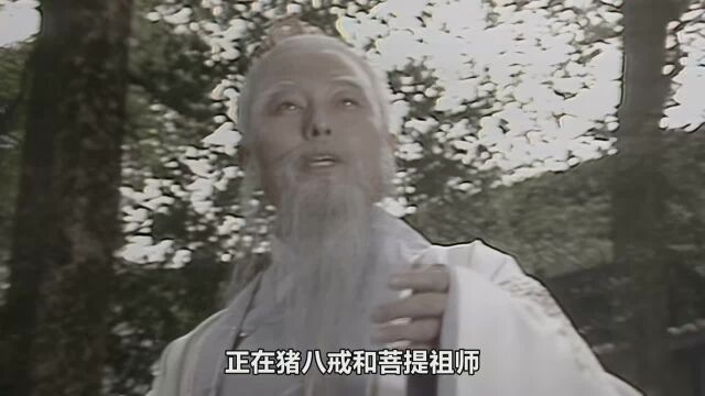 同为北极四圣,作为九天荡魔祖师的真武大帝,能打得过猪八戒吗?