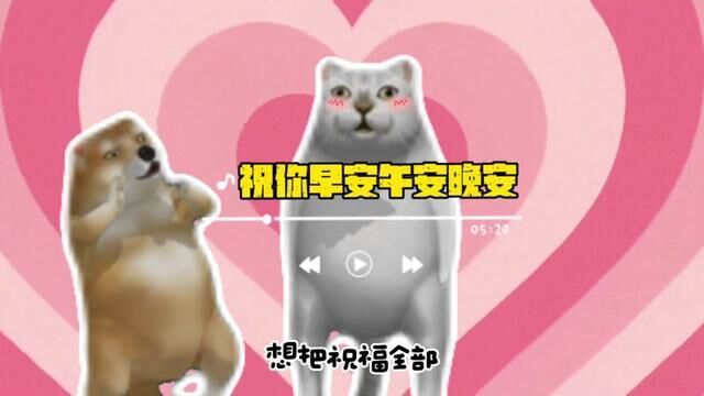 想每天,我祝你早安午安晚安~#猫猫头#cheems