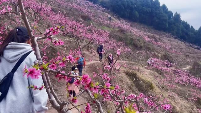 四川省成都市,成都周边春日徒步地