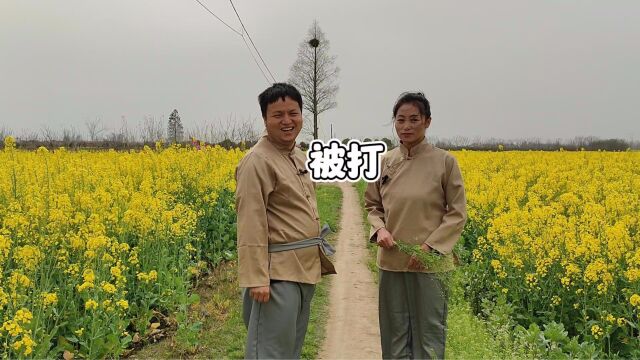 春天的田野长满荠菜,还没到三月三,着急采摘了煮蛋吃