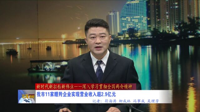 北海市11家瞪羚企业实现营业收入超2.9亿元