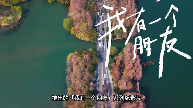 好一波梦幻联动 影视飓风创始人竟然是魅友?