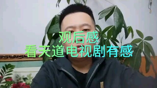 观后感看天道电视剧有感