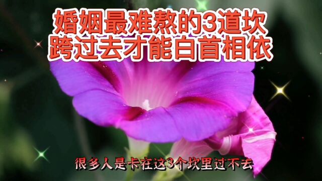 婚姻里最难熬的3道坎,跨过去才能白首偕老