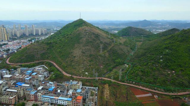 广西鹿寨县城边的双虎相争之地,前朝案山位置有一烟筒好似高香