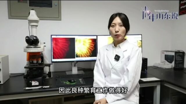 “双非”高校博士生首发nature后,决定留校继续科研