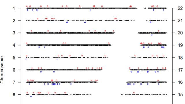 微生信ChIPseq、m6Aseq富集峰和eccDNA染色体分布