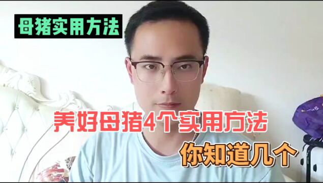 养好母猪4个实用方法,你知道几个