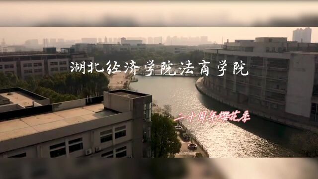 大学樱花盛开