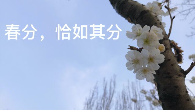 3月21日