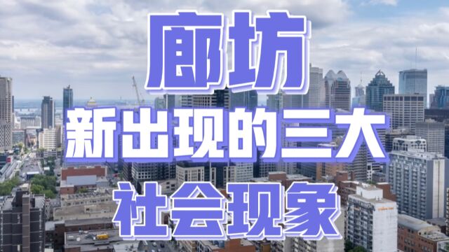 2023年以来,廊坊出现了三大新的社会现象,引发关注!